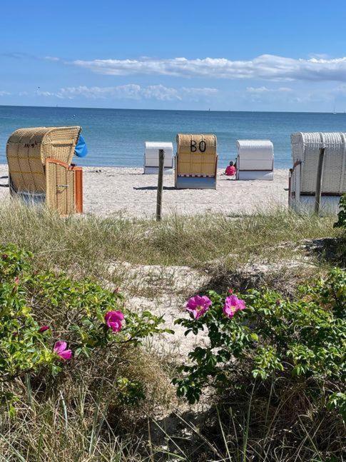 Fewo-Mit-Terasse-U-Garten-Am-Golfplatz Wulfen auf Fehmarn 외부 사진